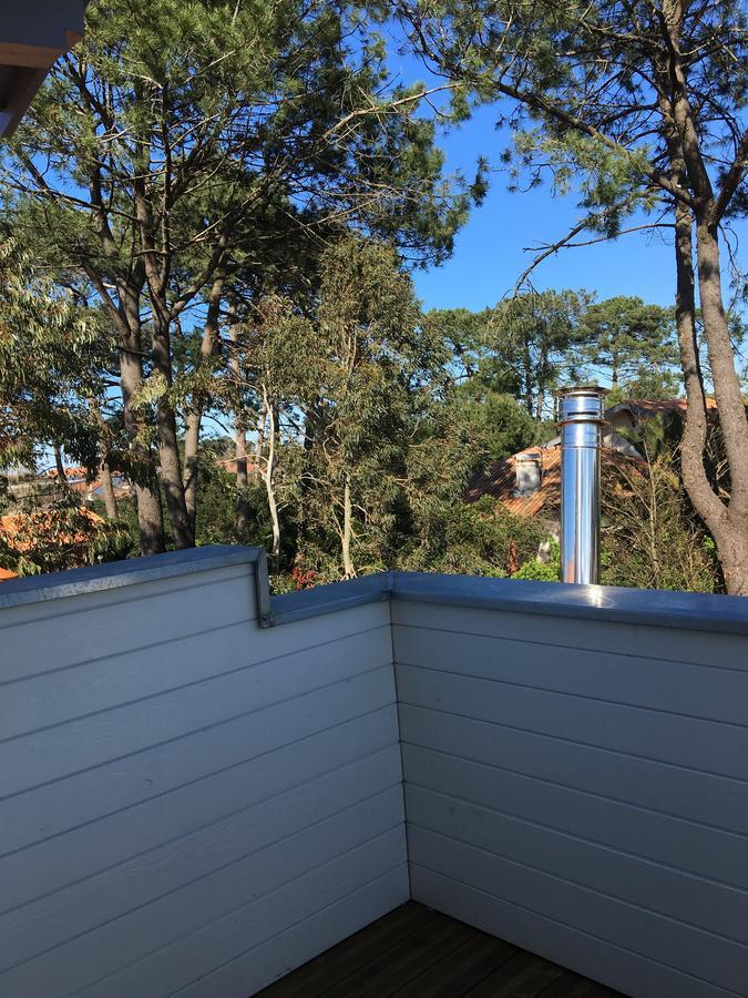 Maison Arbolateia Avec Piscine Et Spa Bidart Eksteriør billede