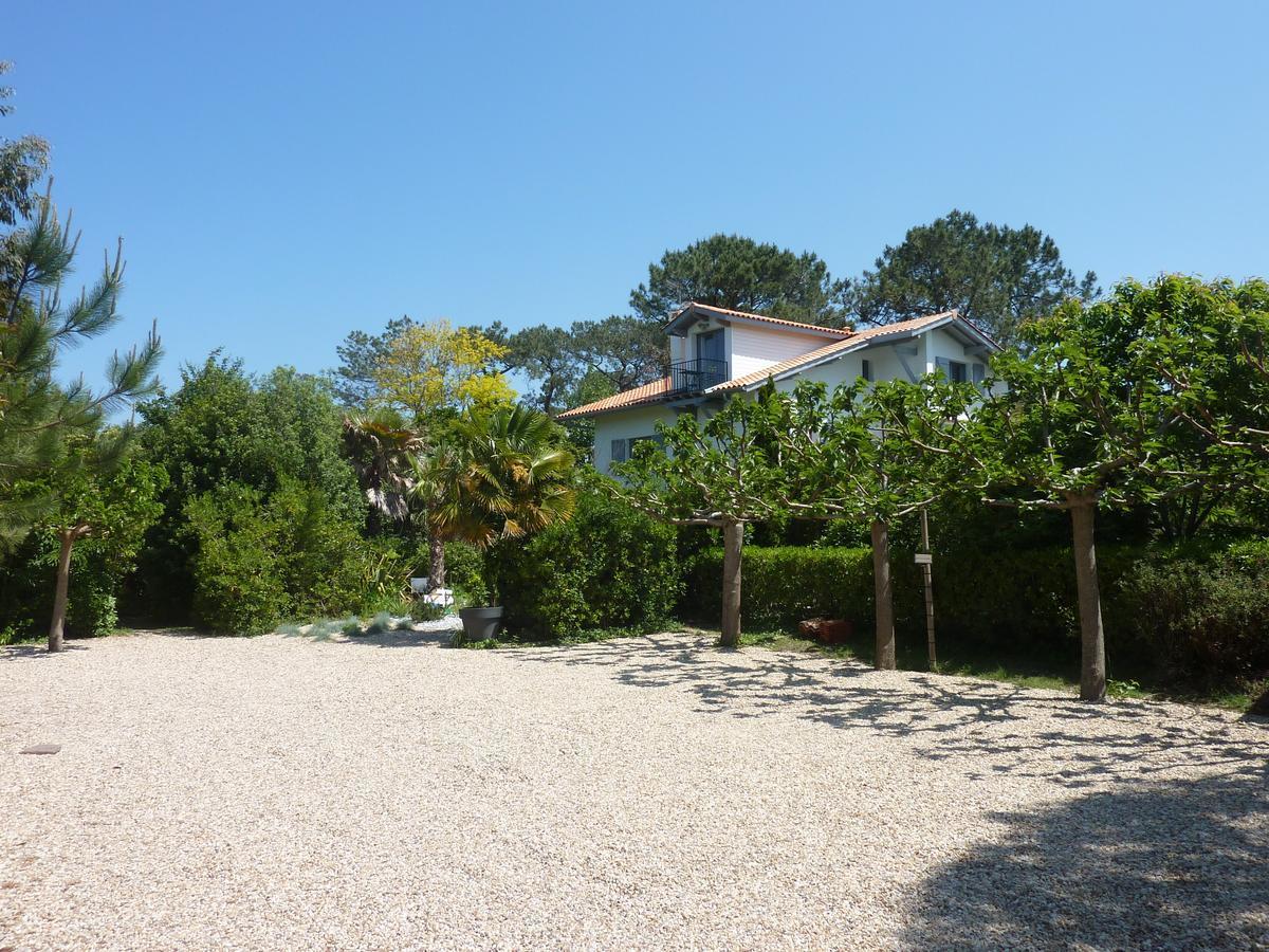 Maison Arbolateia Avec Piscine Et Spa Bidart Eksteriør billede