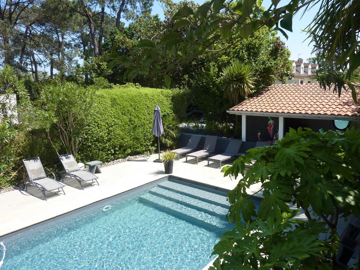 Maison Arbolateia Avec Piscine Et Spa Bidart Eksteriør billede