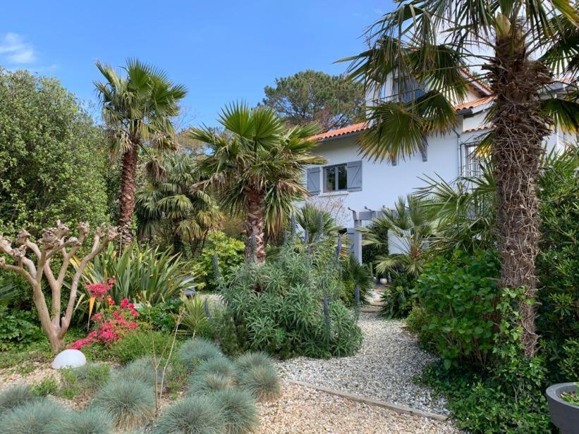 Maison Arbolateia Avec Piscine Et Spa Bidart Eksteriør billede